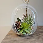 Downтown - Free Parking شقة فارنا