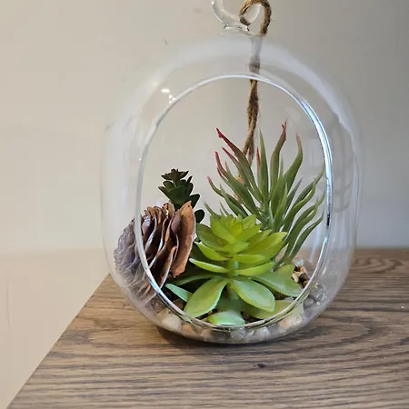 Downтown - Free Parking Appartamento Varna